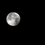 IMG_456971-grauer-Mond1-2